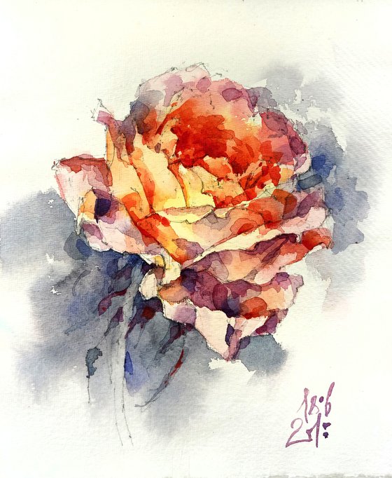 "Rose in shades of orange and yellow" original watercolor