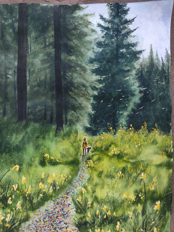 Rainbow Trail 2025