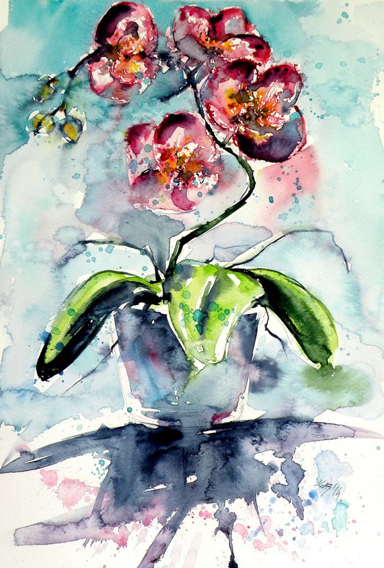 Orchid still life II