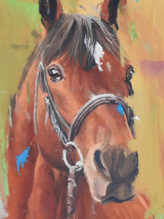 Willow - Horse painting - Oil On Canvas - 101cm x 76cm