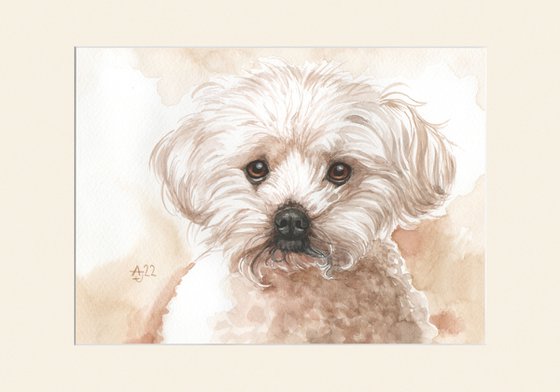Puppy