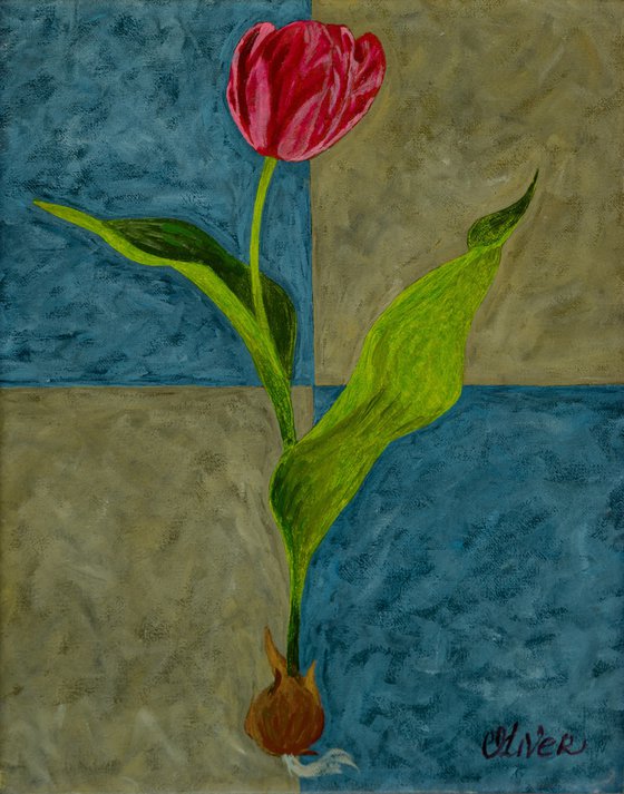 Tulip