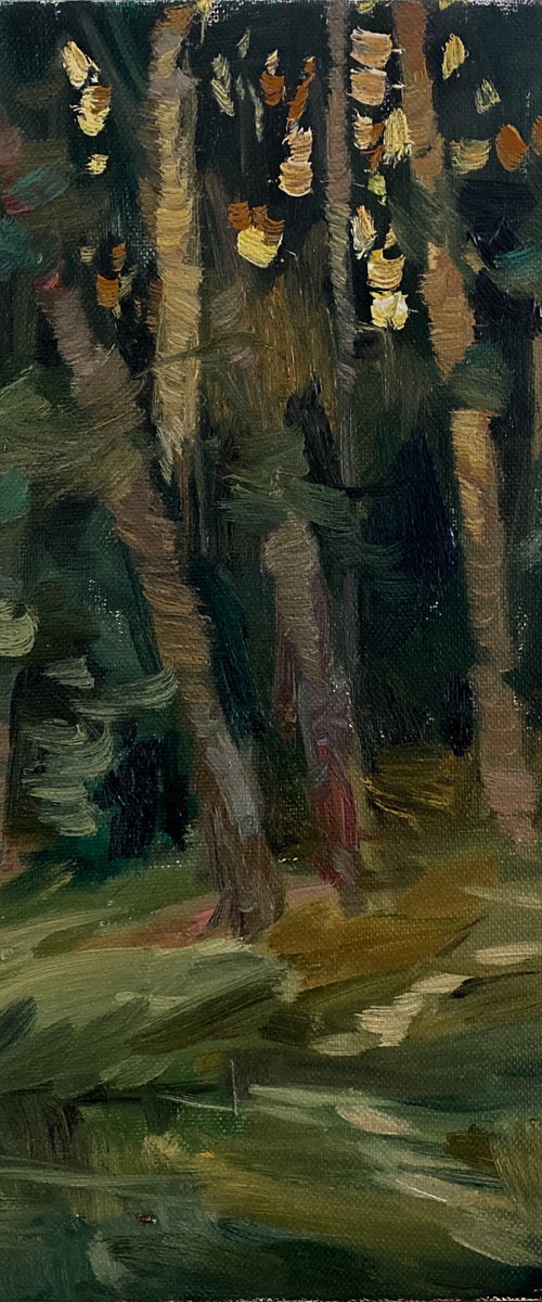 Evening forest by Nataliia Nosyk