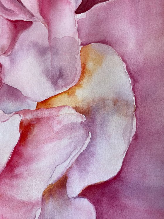 Peony Heart