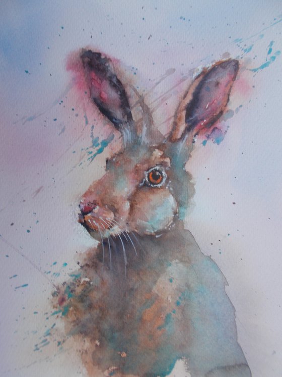 hare 6