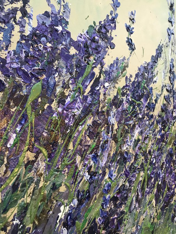 Lavender field