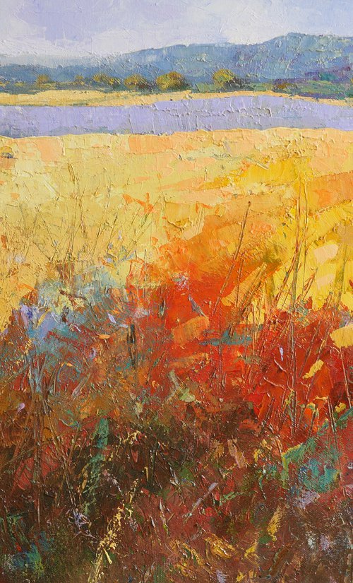 Landscape 70x50 cm by Claudio Ciardi