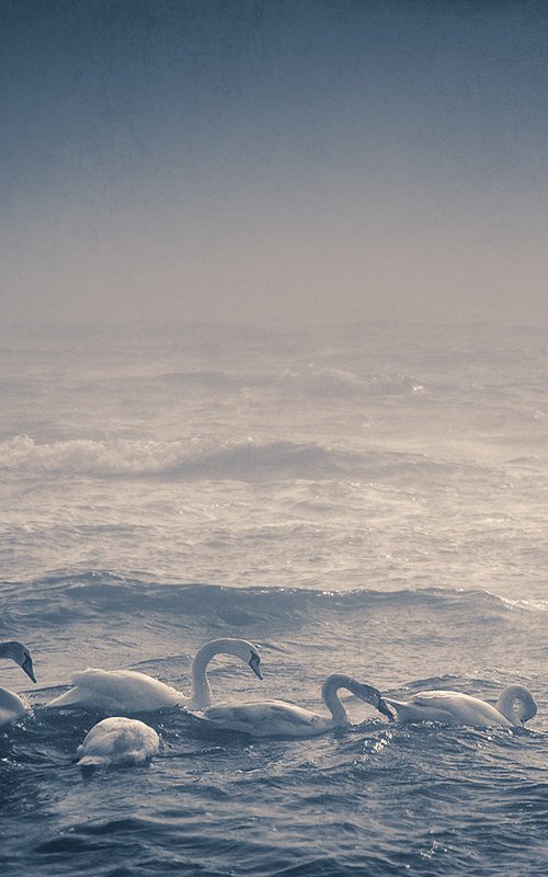 Overcoming any weather. by Valerix