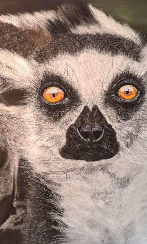 ,, Lemurs'' by Deimante Bruzguliene