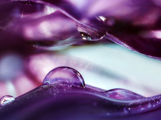 Onion Planet Dreamy Landscapes