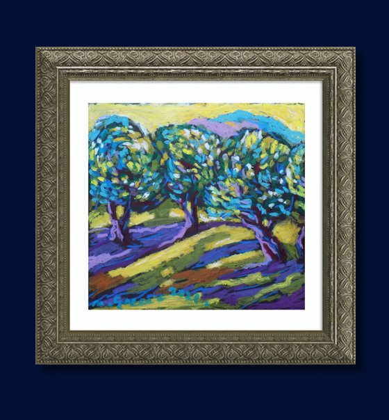 Olive grove No 32