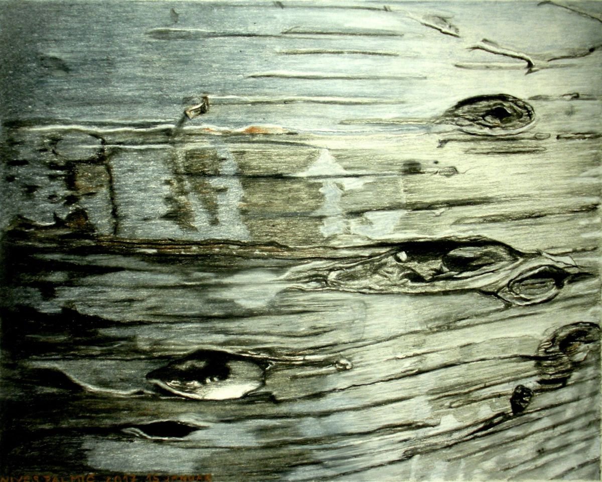 Photorealistic Botanical Charcoal Drawing By Nives Palmic, 18 X 14", Skin, Original Artwork