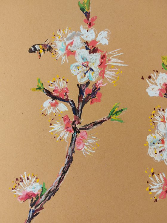 Apricot blossom and the bee