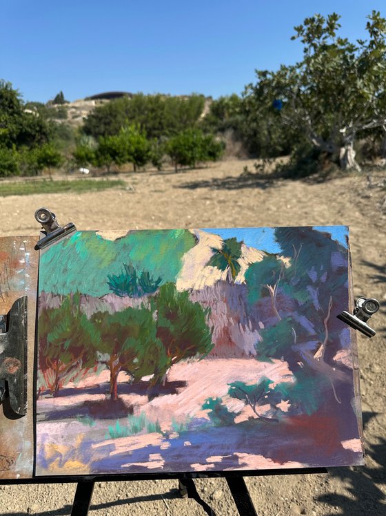 Orange Tree