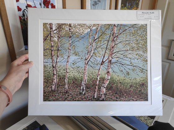 Grasmere Birches