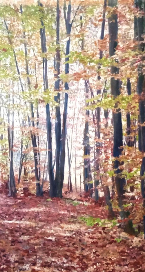 Fall in the beech wood by Ida Harm