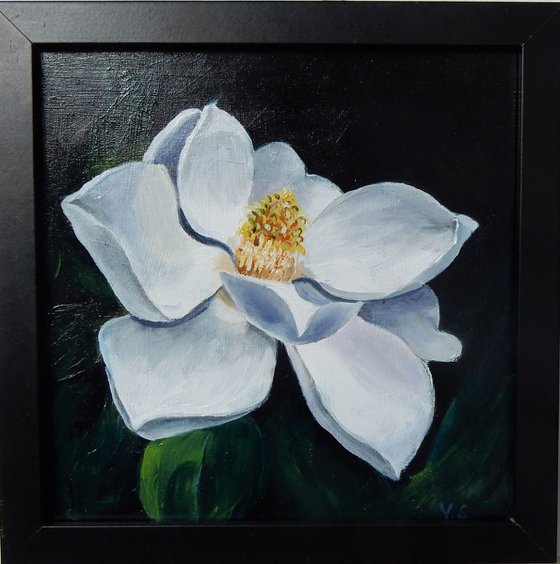 Magnolia flower.