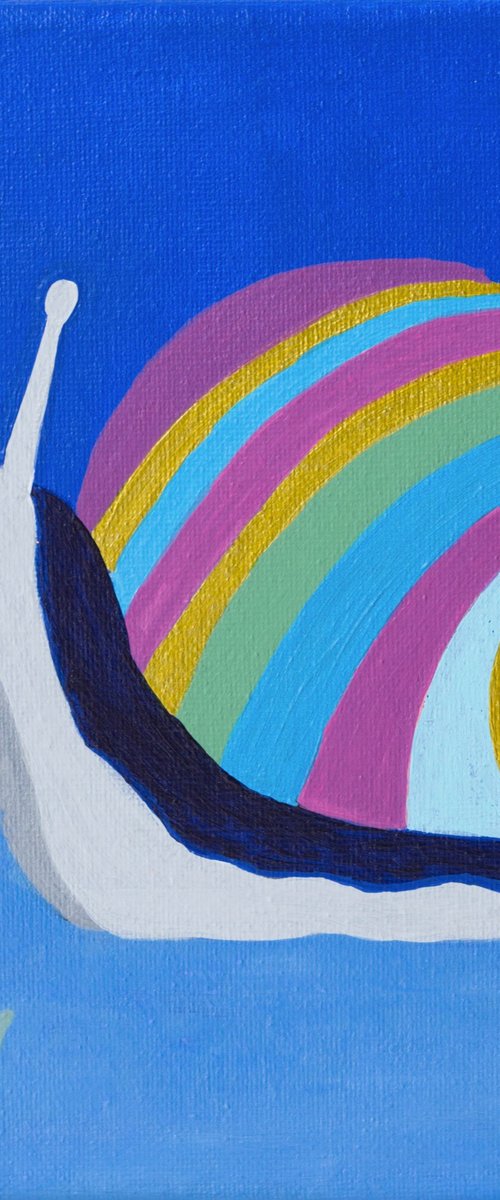 Snail by Molly Brin