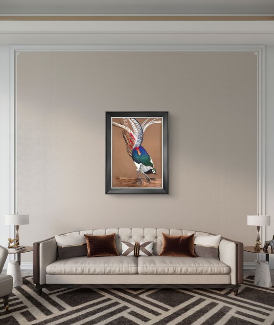 LADY AMHERST’S PHEASANT