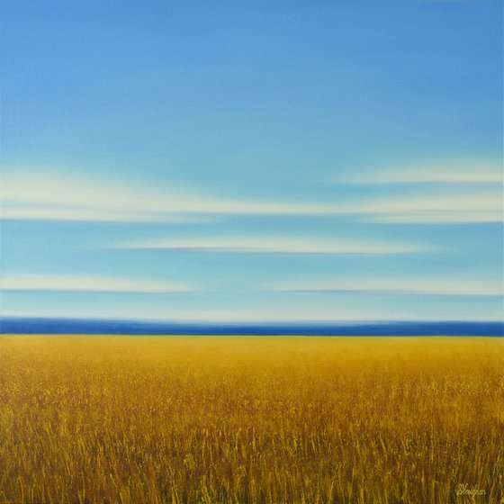 Summer Gold Field - Blue Sky Landscape