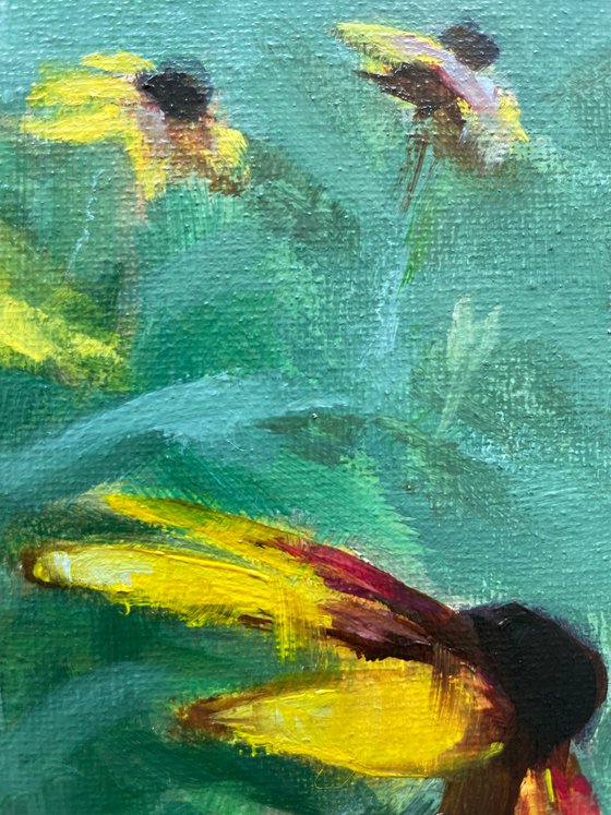 august flowers
