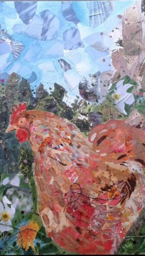 Our Hens by Fiona Plaisted