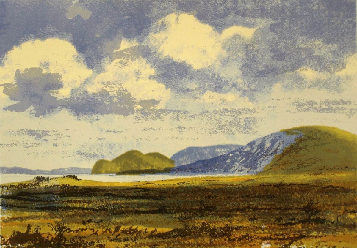 Fogher Cliffs, Valentia Island by Aidan Flanagan Irish Landscapes