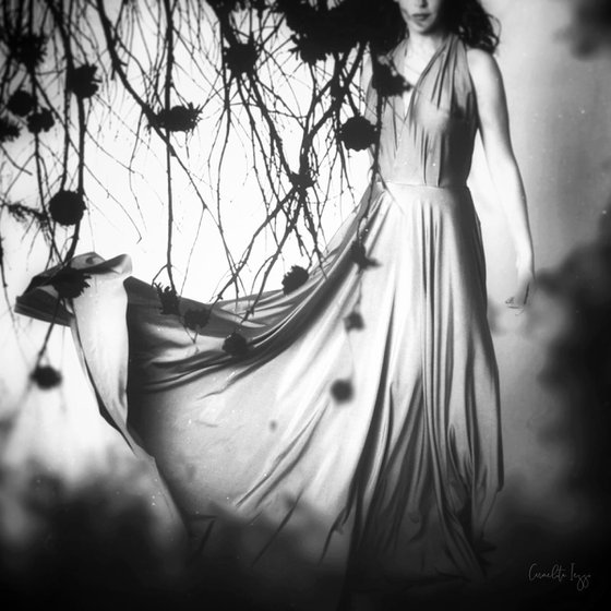 The wind song - Photography - Surreal - Portrait - Manipulated