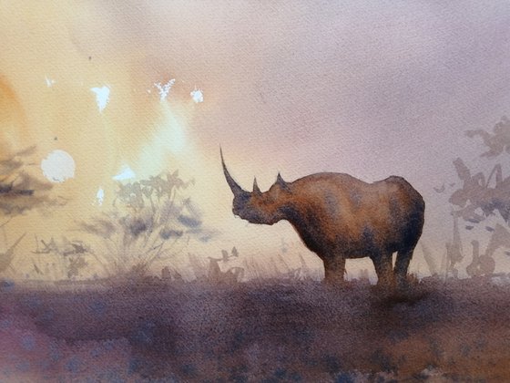 rhinos 7