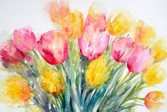 Morning Radiance_ Tulips