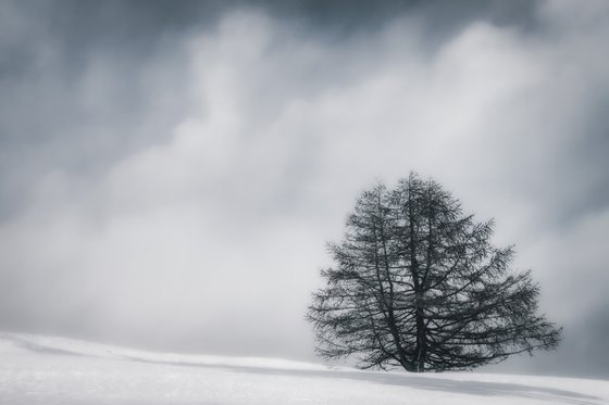 White Italian Scape #9