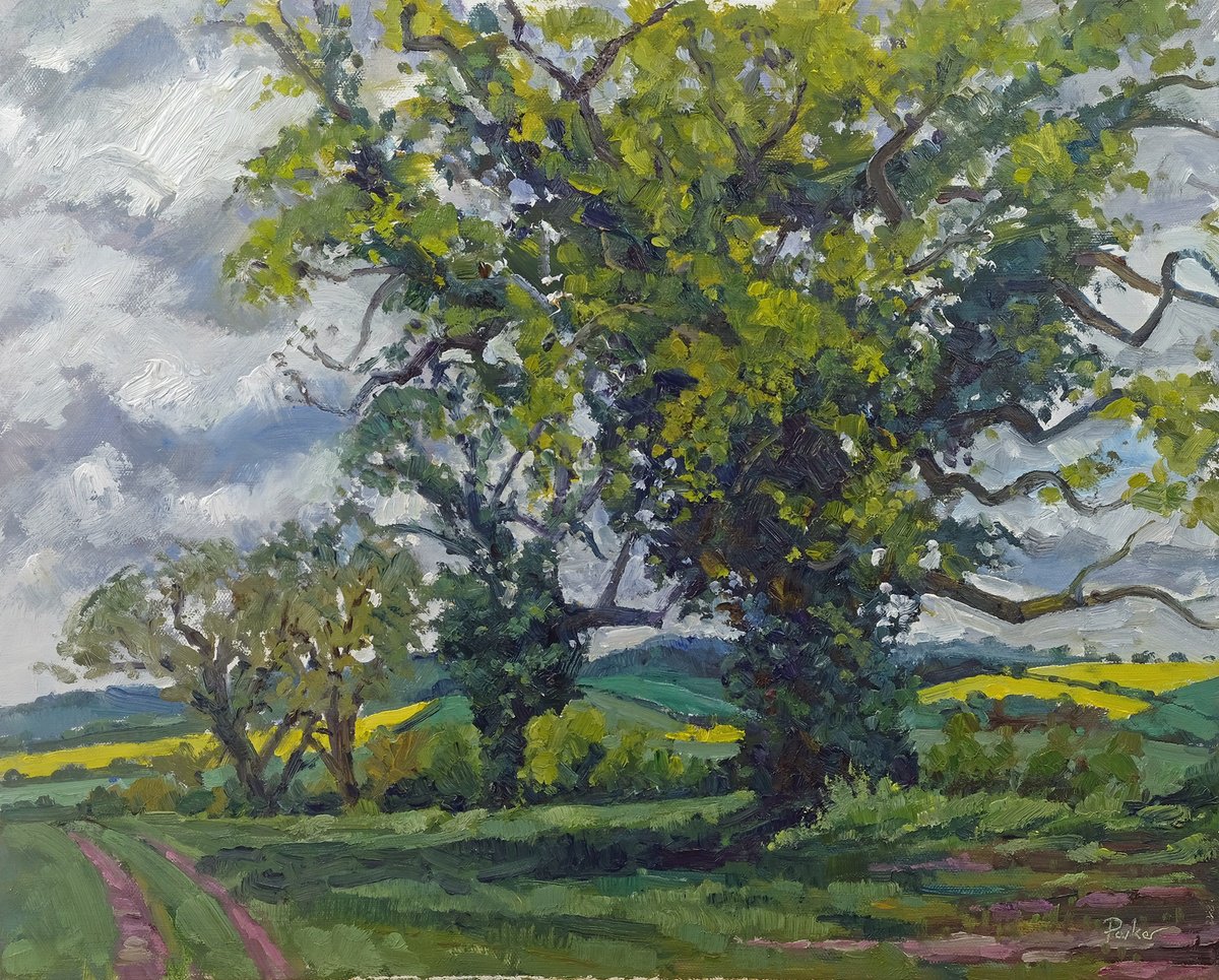 Stormy Spring landscape by Jeff Parker