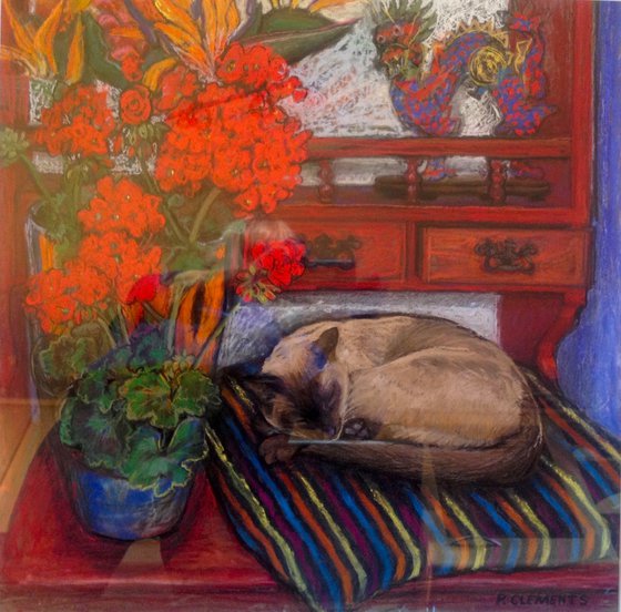 Bob the cat on the dresser