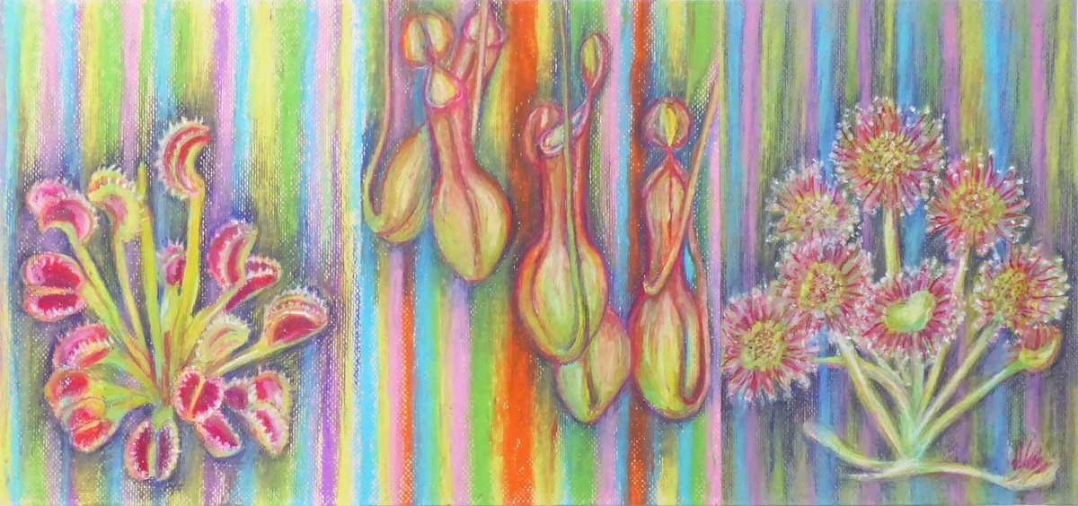 Organic Botanical Pastel Drawing By Jacqueline Talbot, 25 X 12, Carnival, Original Artwork