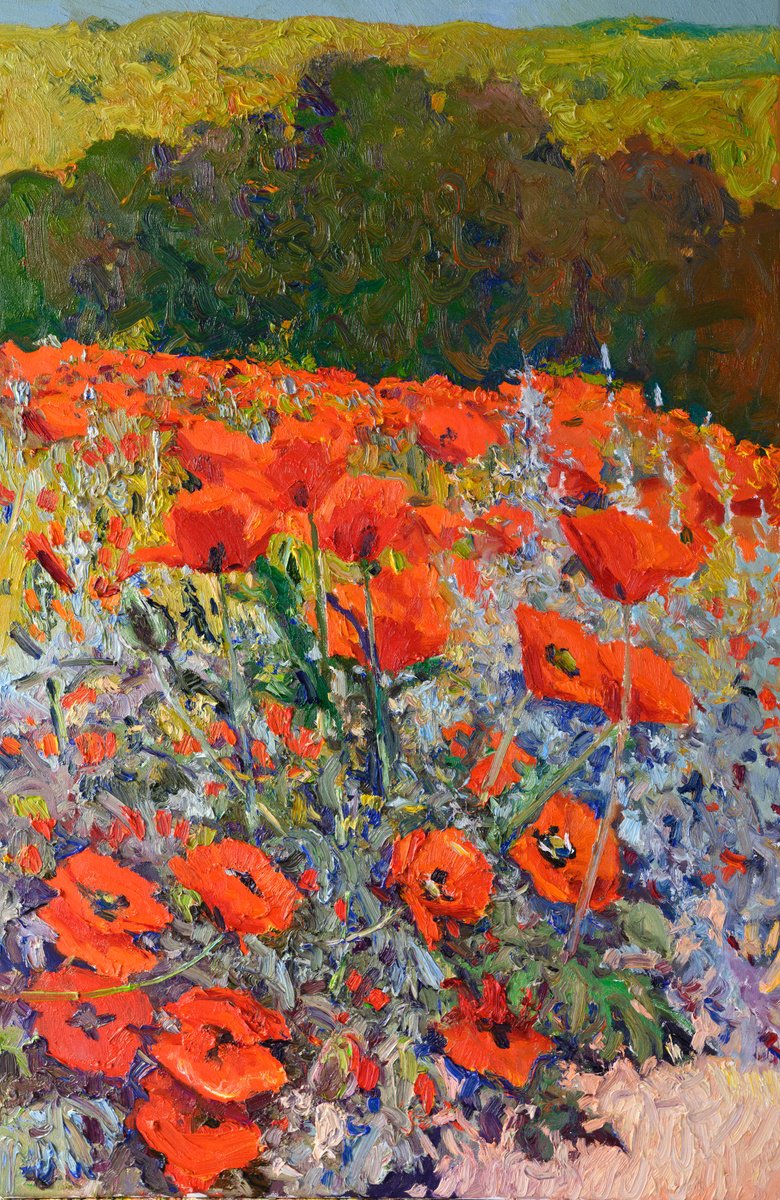 Alpine Poppies By Suren Nersisyan, 24 X 36, Artwork For Sale On Artfinder