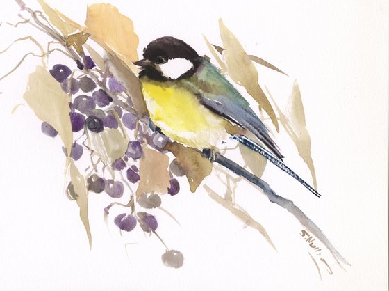 Great Tit