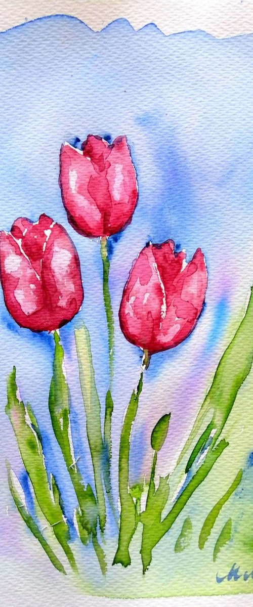 Red tulip by Mateja Marinko
