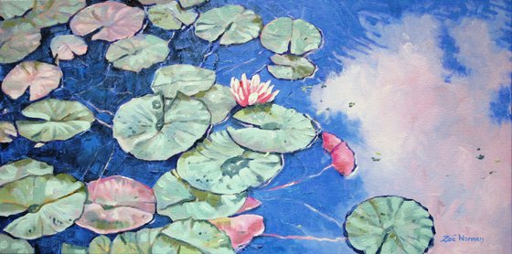 Tranquil Waterlilies