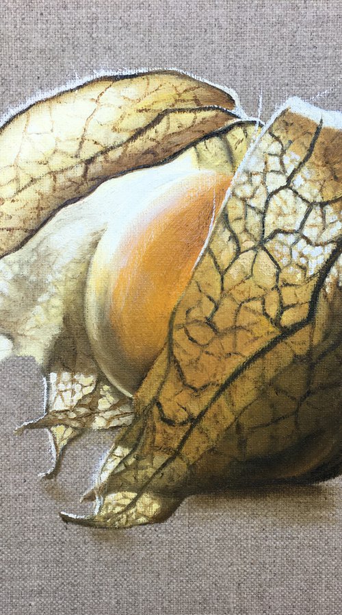 Husk by Catherine Henchie