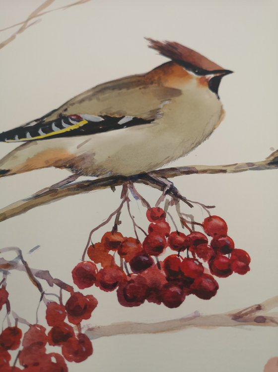 Waxwing