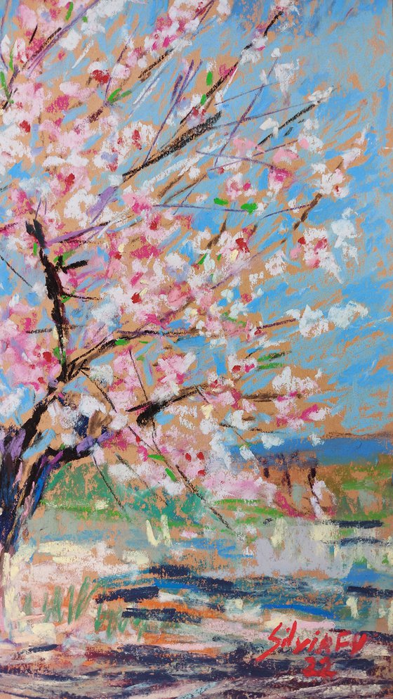 Almond blossom