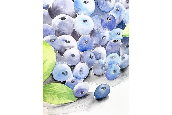 Blueberry