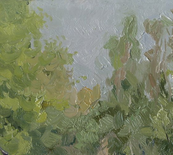 Spring. Kamenka River