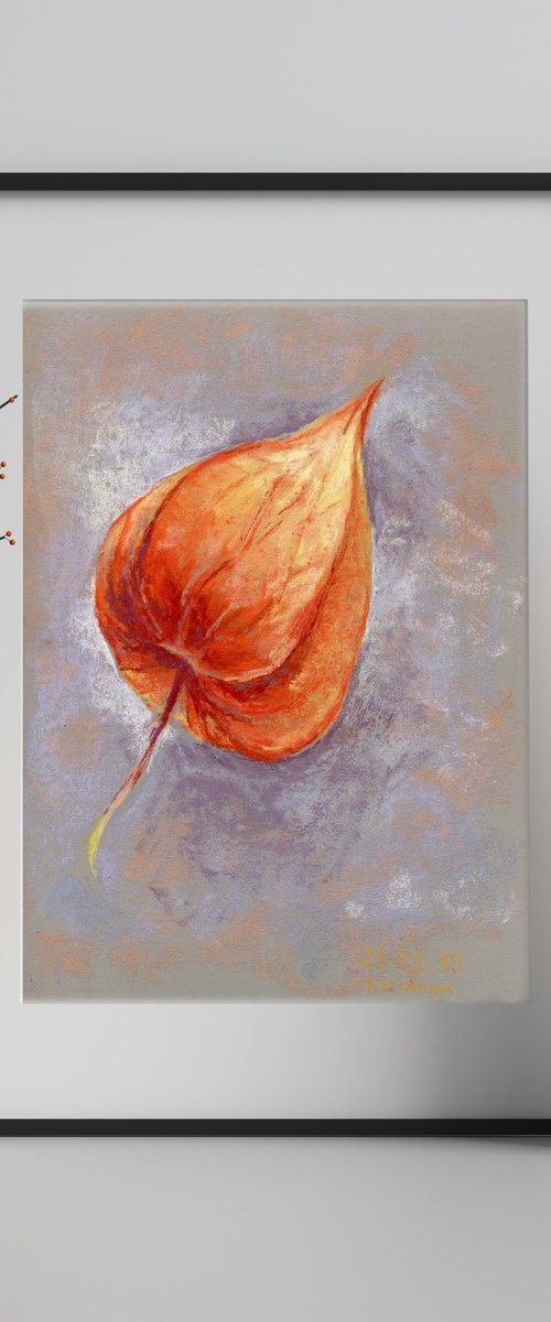 Soft pastel drawing of Physalis by Liliya Rodnikova