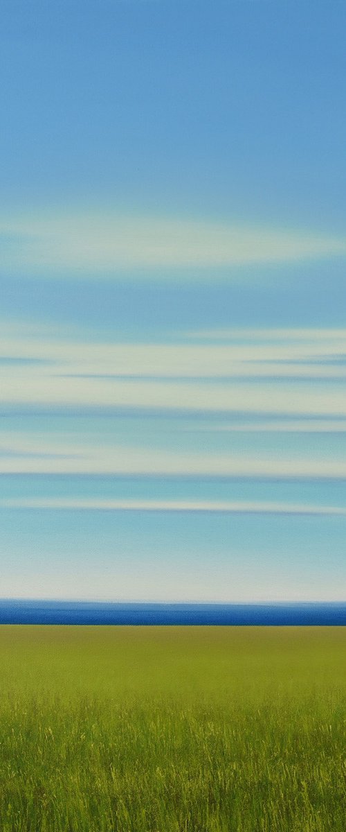 Verdant Green Field - Blue Sky Landscape by Suzanne Vaughan