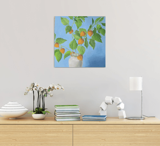 Chinese Lantern plant. (Physalis)