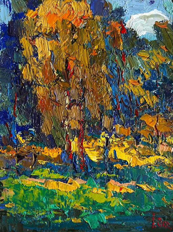 Sunbeams on the meadows