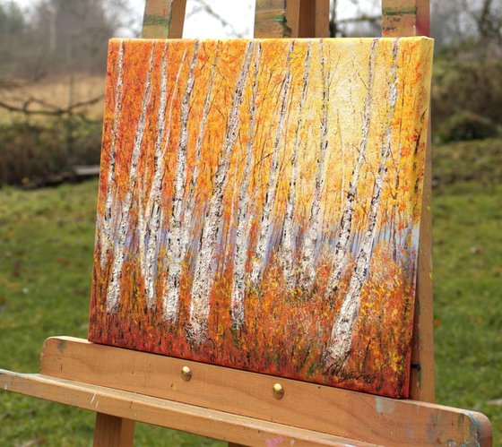 Autumnal birch trees 2