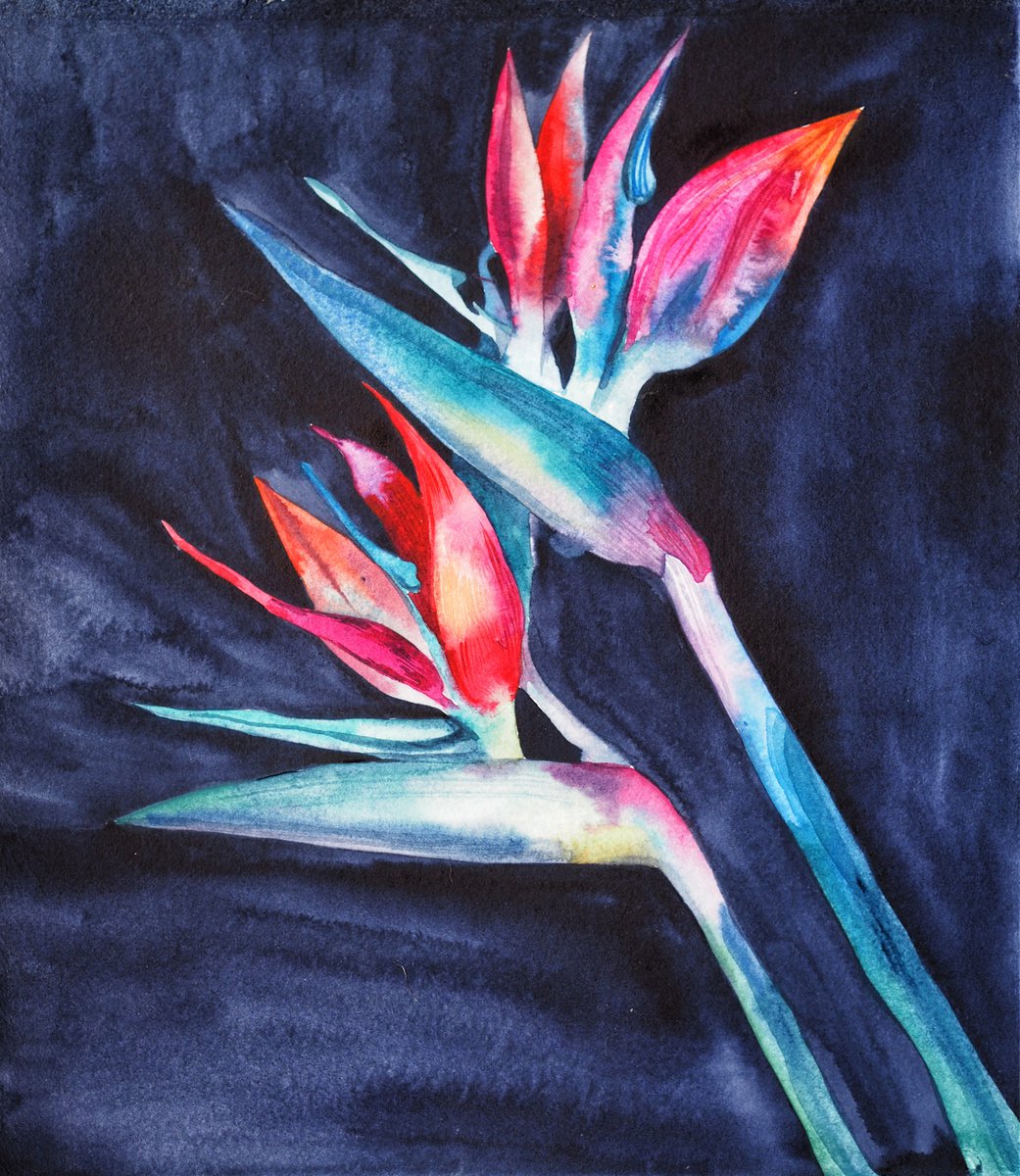 Strelitzia on blue-black velvet, vol.3 - original watercolor artwork, flower on black by Delnara El