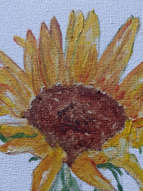 Sunflower